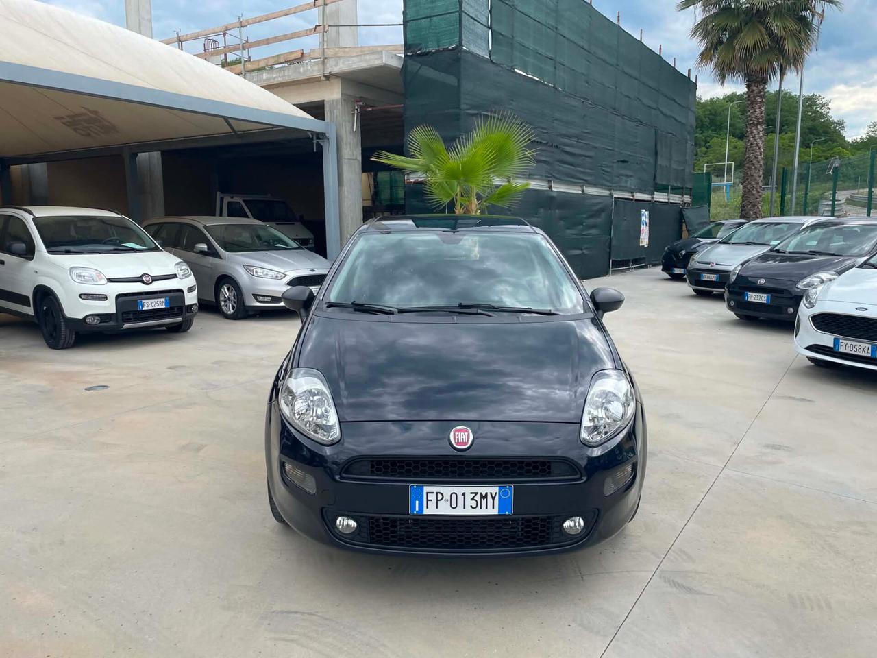 Fiat Punto 1.3 MJT II S&S 95 CV 5 porte Street