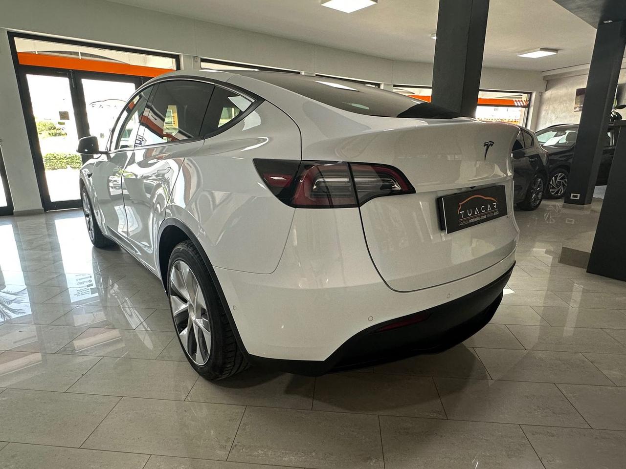 Tesla Model Y Long Range Dual Motor AWD #6076
