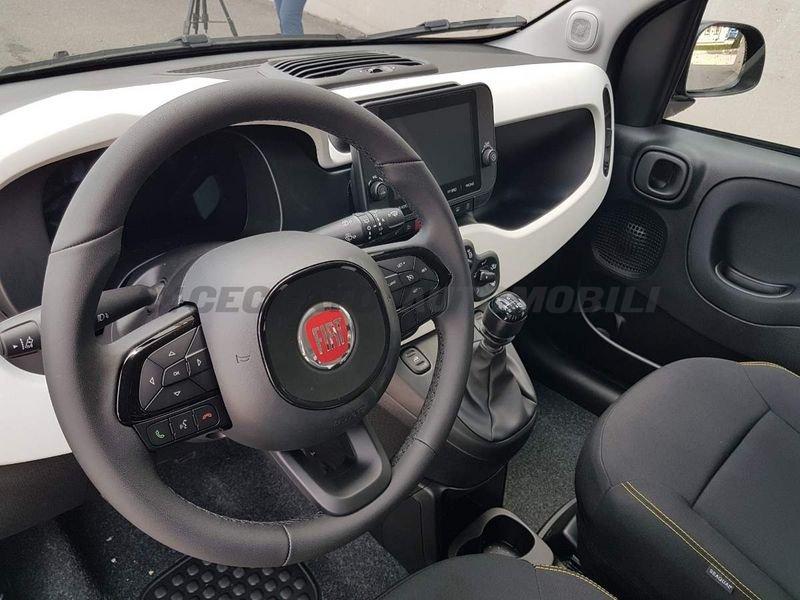 FIAT Panda Panda My25 1.0 70cv Hybrid Pandina