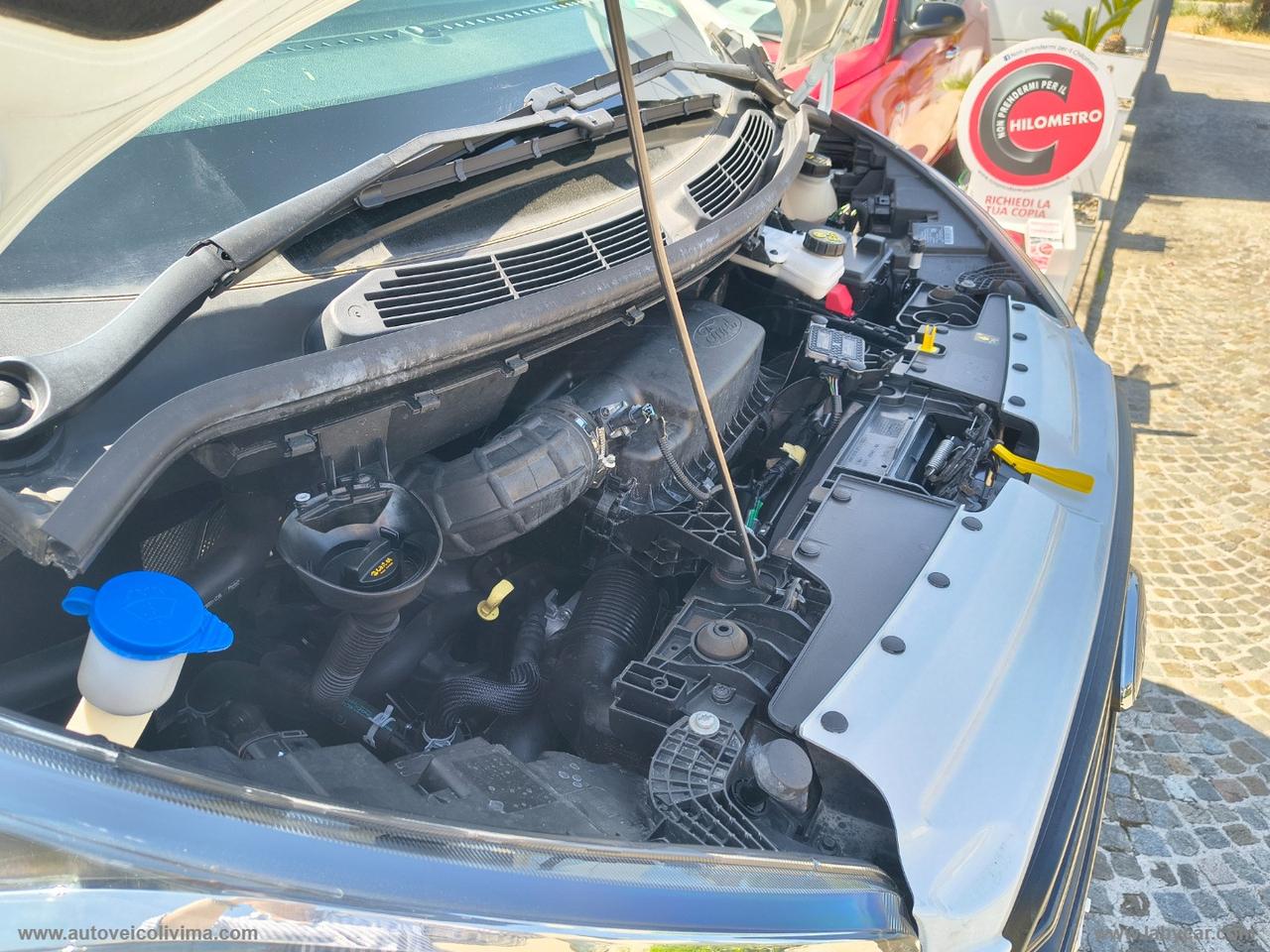 Tran.Cust.320 2.0EcoB.130 PC F.Trend