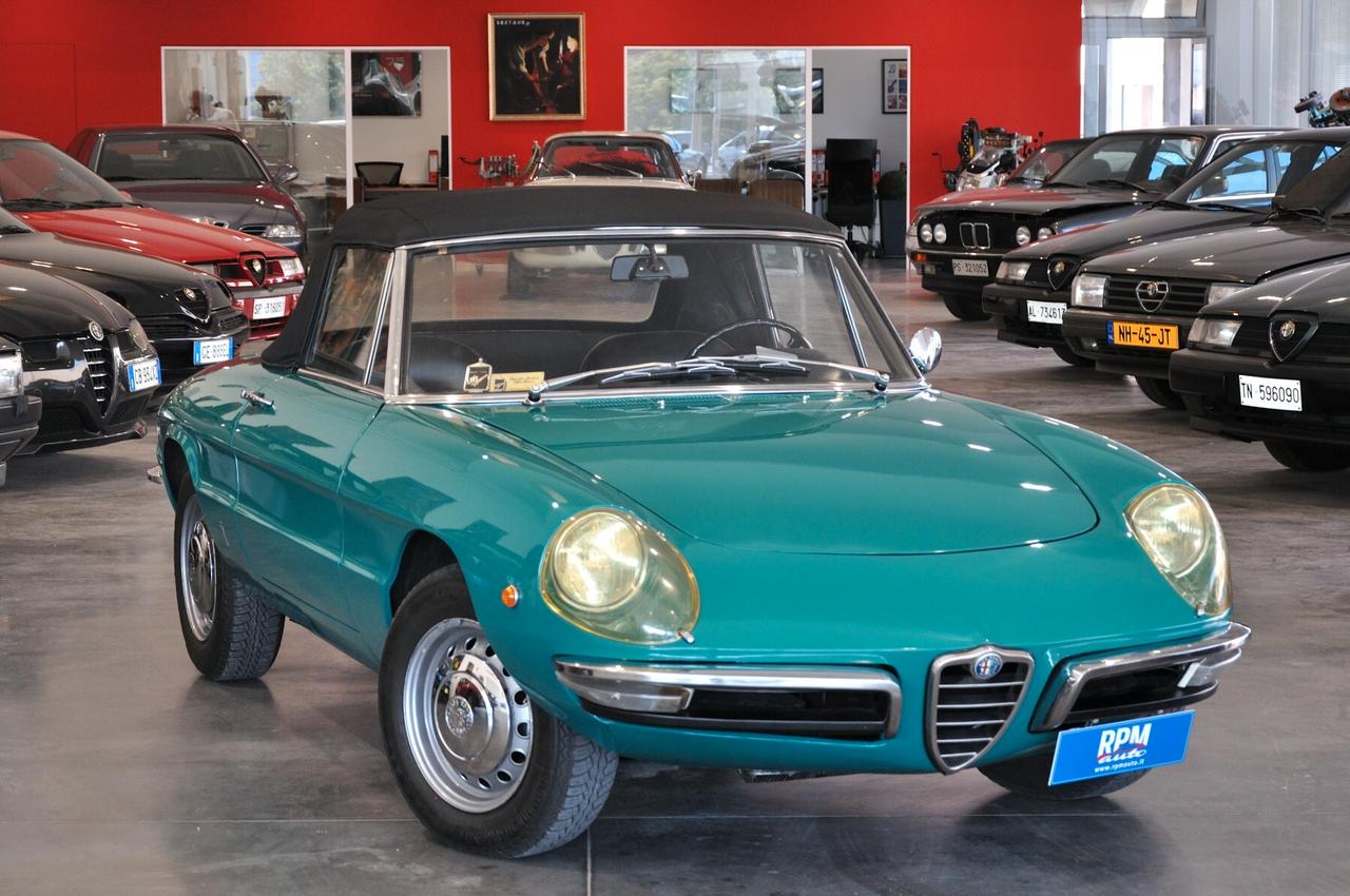 Alfa Romeo Spider 1300 Junior Duetto osso di seppia RIAR conservata