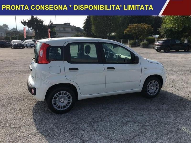 FIAT Panda 1.0 FireFly Hybrid Icon SENSORI PARK+FRENATA AUTONOMA