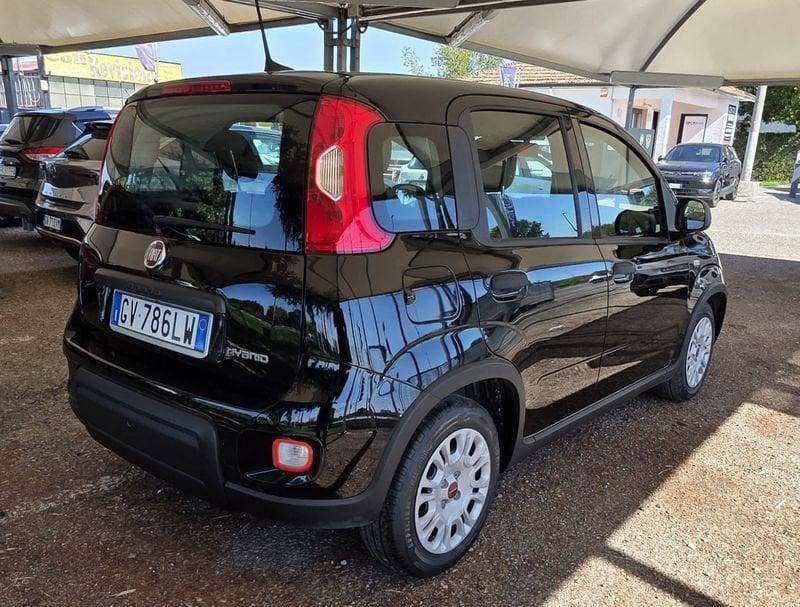 FIAT Panda Panda 1.0 firefly hybrid s&s 70cv 5p.ti