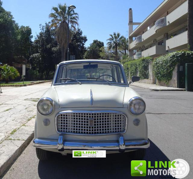 FIAT 1100 D Special