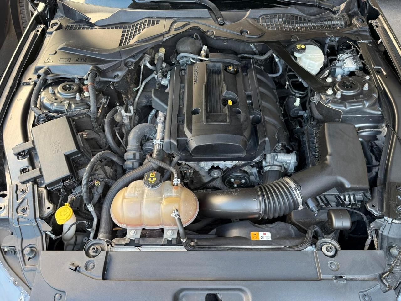 Ford Mustang Convertible 2.3 EcoBoost aut.