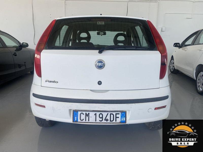 FIAT Punto Punto 1.2 5 porte Dynamic