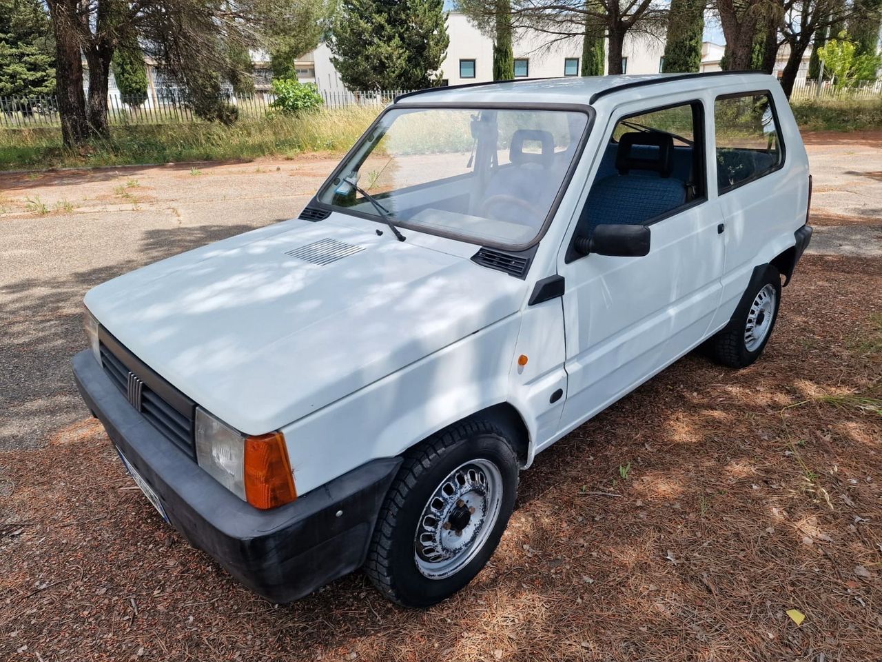 Fiat Panda 1100 i.e. cat Young