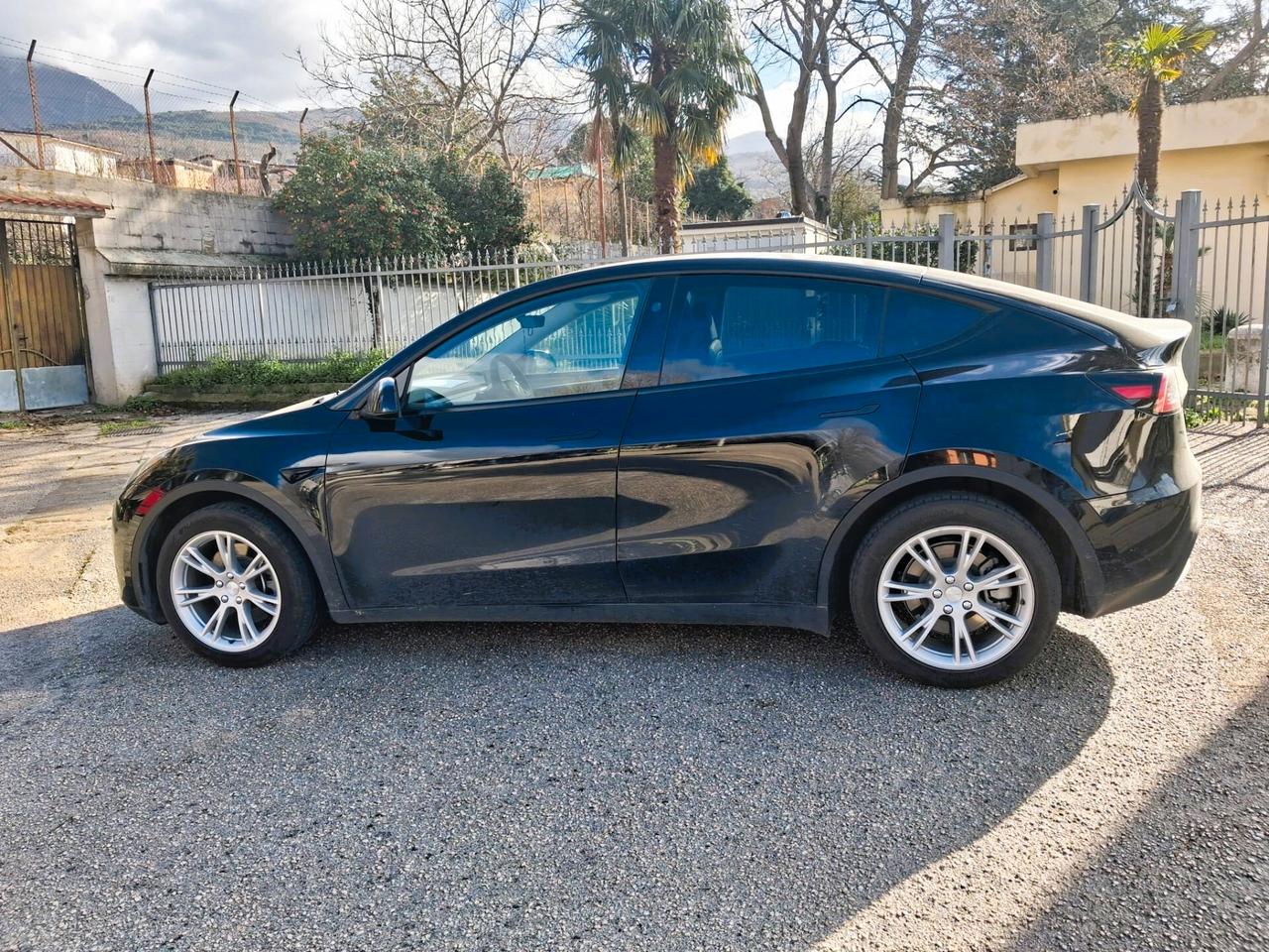 Tesla Model Y Long Range RWD