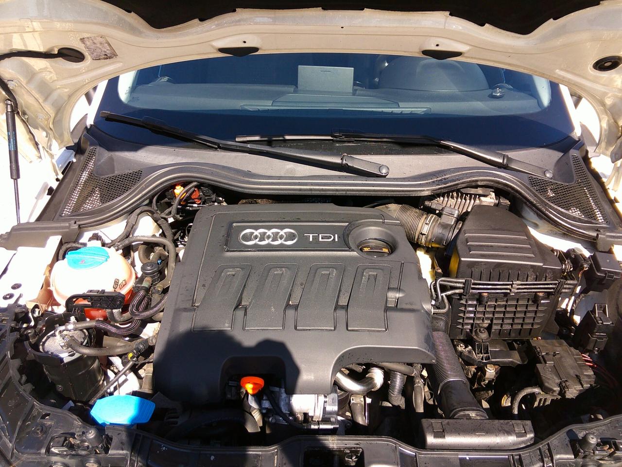 Audi A1 1.6 TDI 105 CV Ambition 12/10