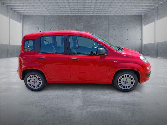 FIAT Panda 3ª serie 1.0 FireFly S&S Hybrid