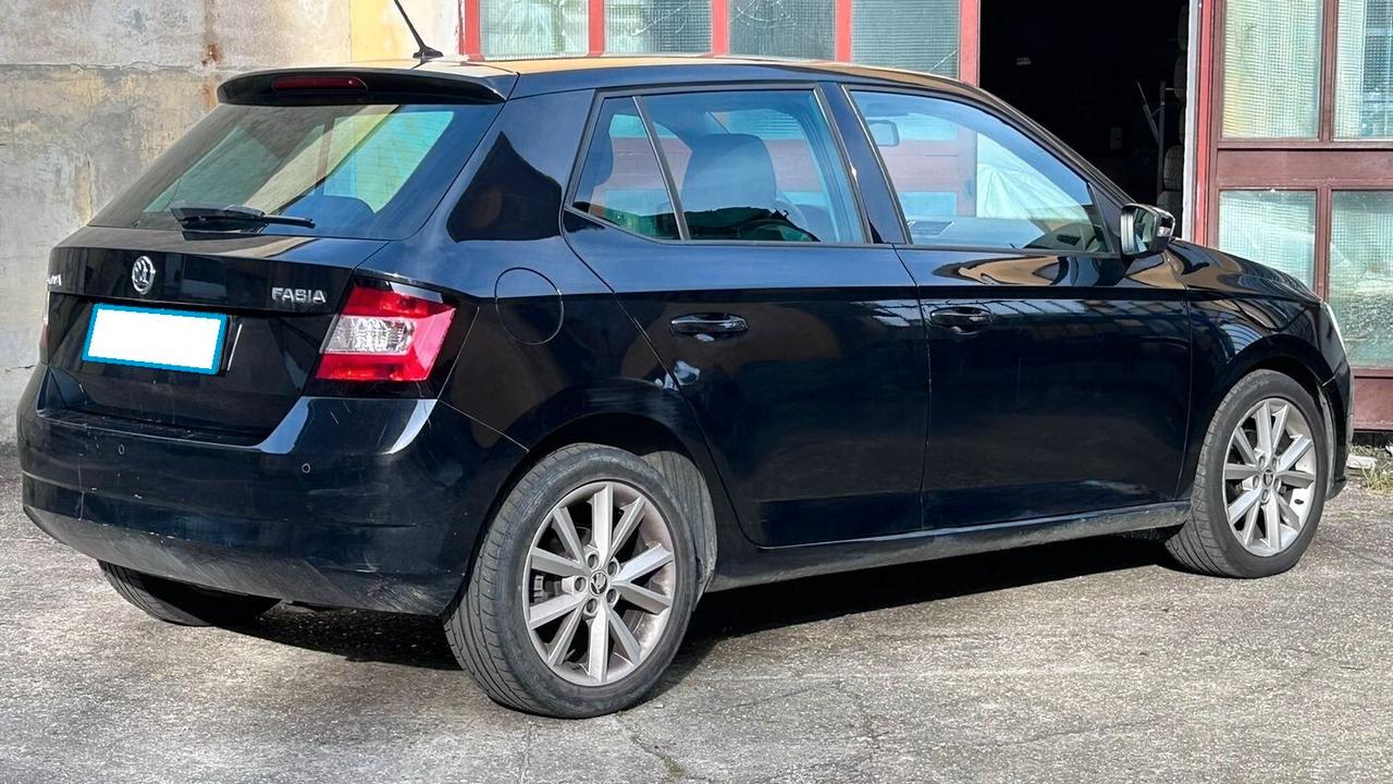 Skoda Fabia 1.4 TDI 90 CV AUTOCARRO N1 4 POSTI
