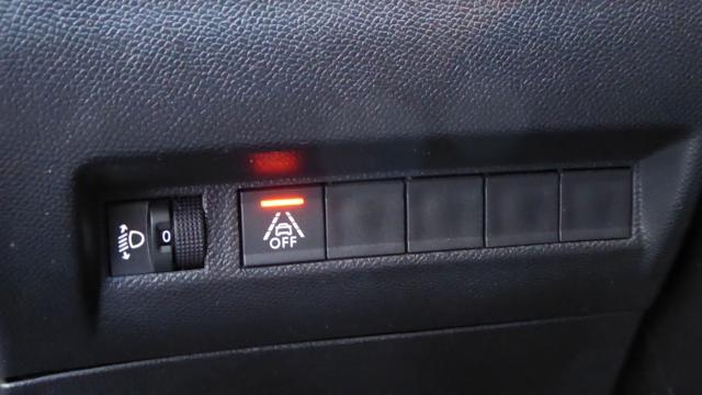 PEUGEOT 2008 PureTech 100 S&S Active GPL