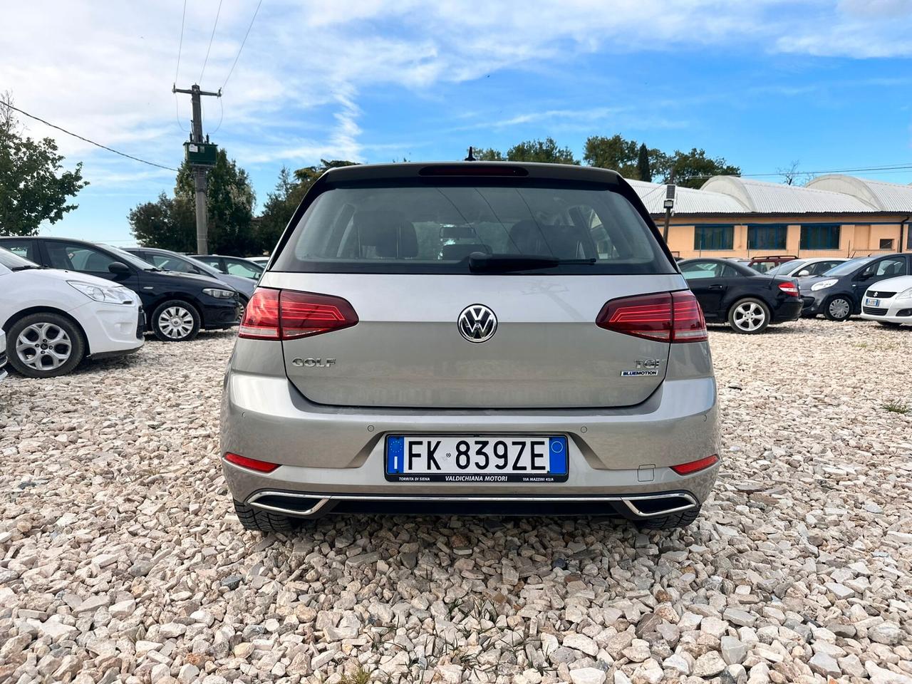 Volkswagen Golf 1.4 TGI 5p. Executive BlueMotion