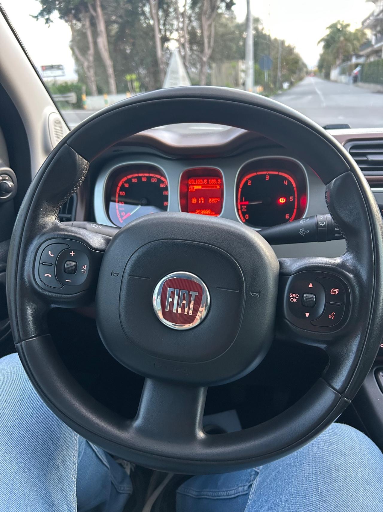 Fiat Panda Cross 1.3 MJT 95 CV S&S 4x4