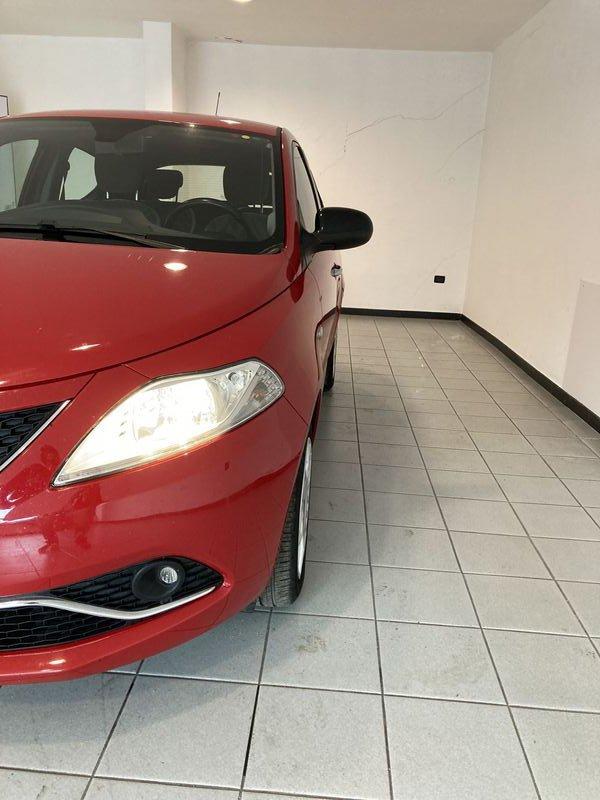 Lancia Ypsilon Ypsilon 1.2 69 CV 5 porte Platinum