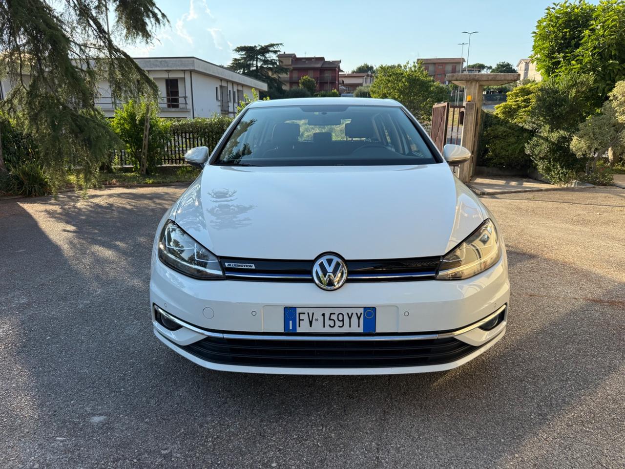Volkswagen Golf 1.5 TGI 5p. Executive BlueMotion Technology