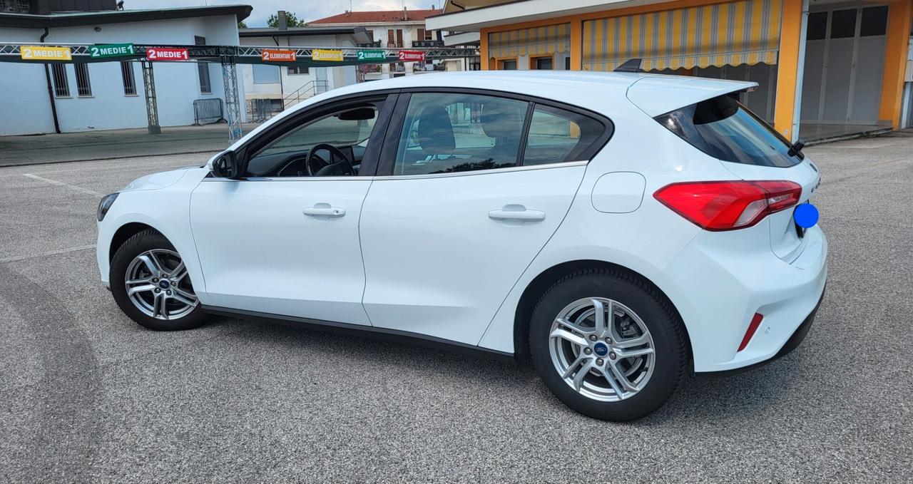 Ford Focus 1.5 EcoBlue 120 CV automatico 5p. Business Co-Pilot