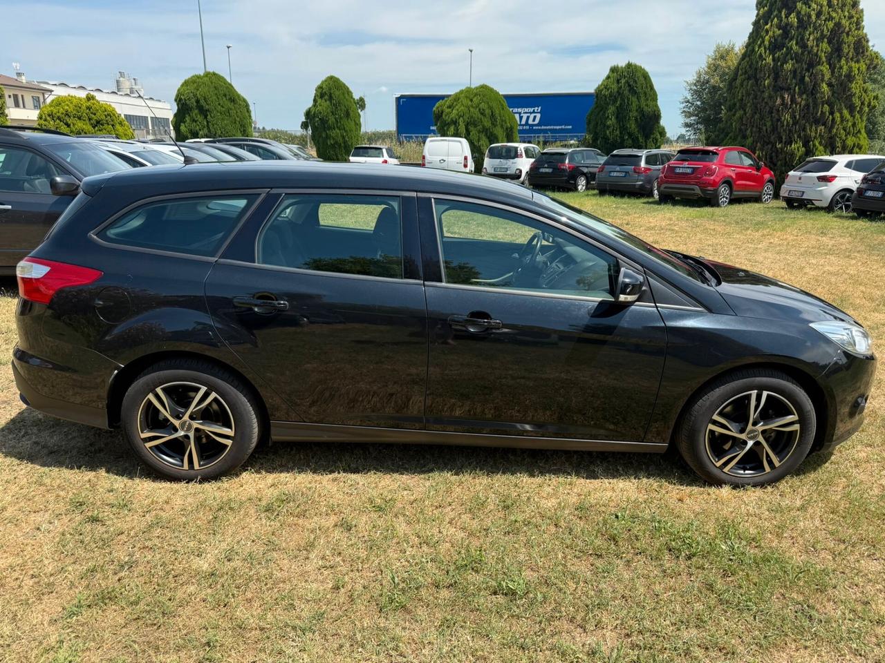 Ford Focus 1.6 115CV TAGLIANDI CERTIFICATI