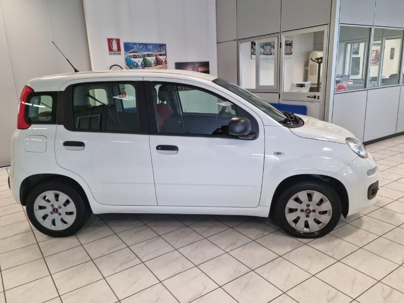 FIAT Panda 3ª serie Panda 1.2 Pop