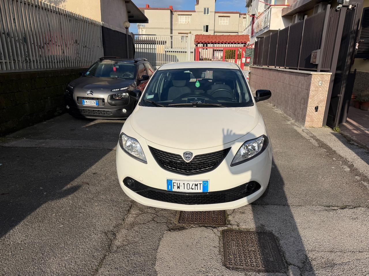 Lancia Ypsilon 1.2 69 CV 5 porte S&S Platinum