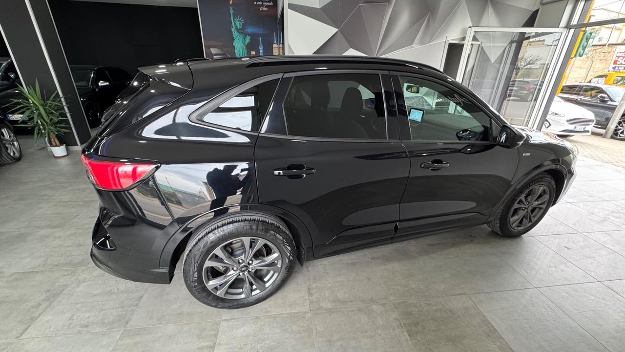 Ford Kuga 1.5 EcoBlue 120 CV 2WD ST-Line-2022