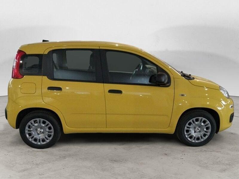 FIAT Pandina 1.0 65cv Hybrid Icon