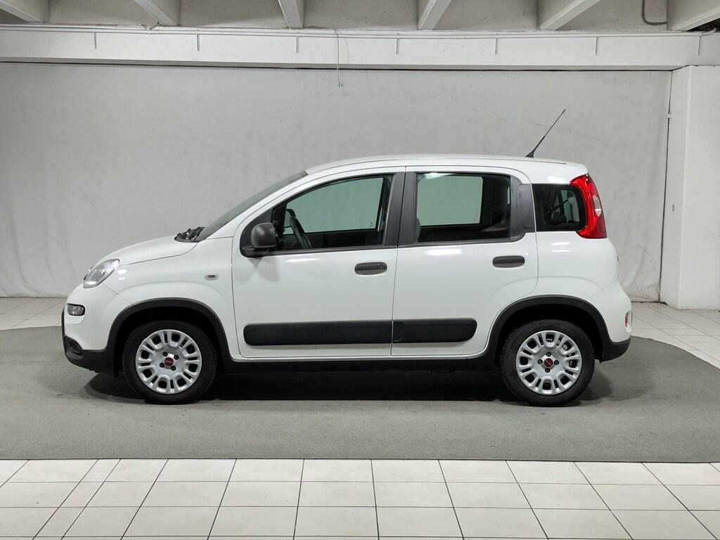 Fiat Panda III Panda van 1.0 hybrid Street 70cv 4p.ti serie 4 E6d