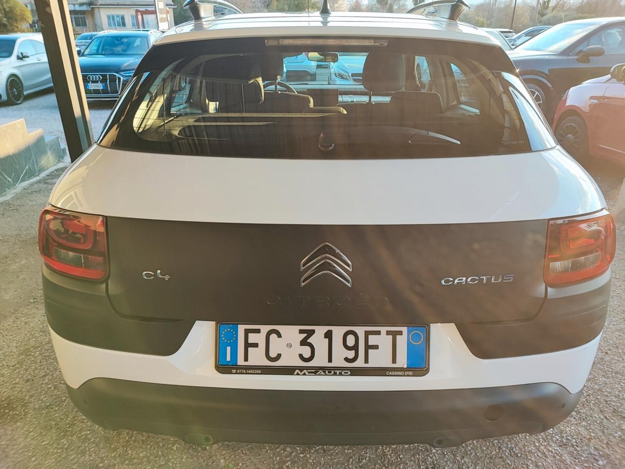 Citroen C4 Cactus BlueHDi 100 S&S ETG6 Shine