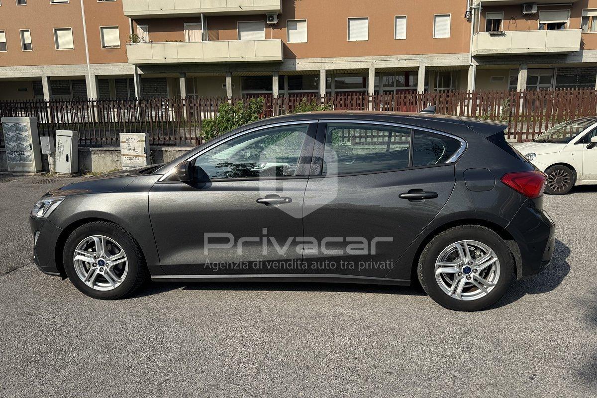 FORD Focus 1.0 EcoBoost 125 CV automatico 5p. Vignale Co-Pilot