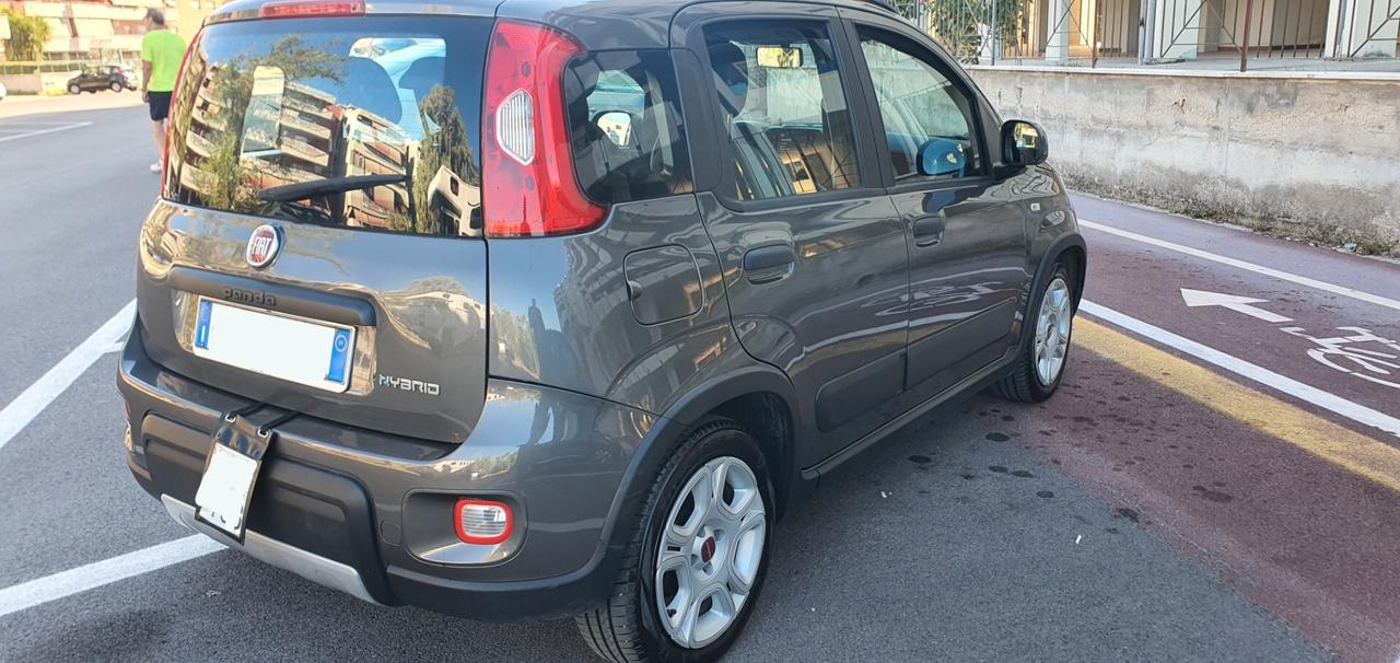 Fiat Panda 1.0 FireFly S&S Hybrid