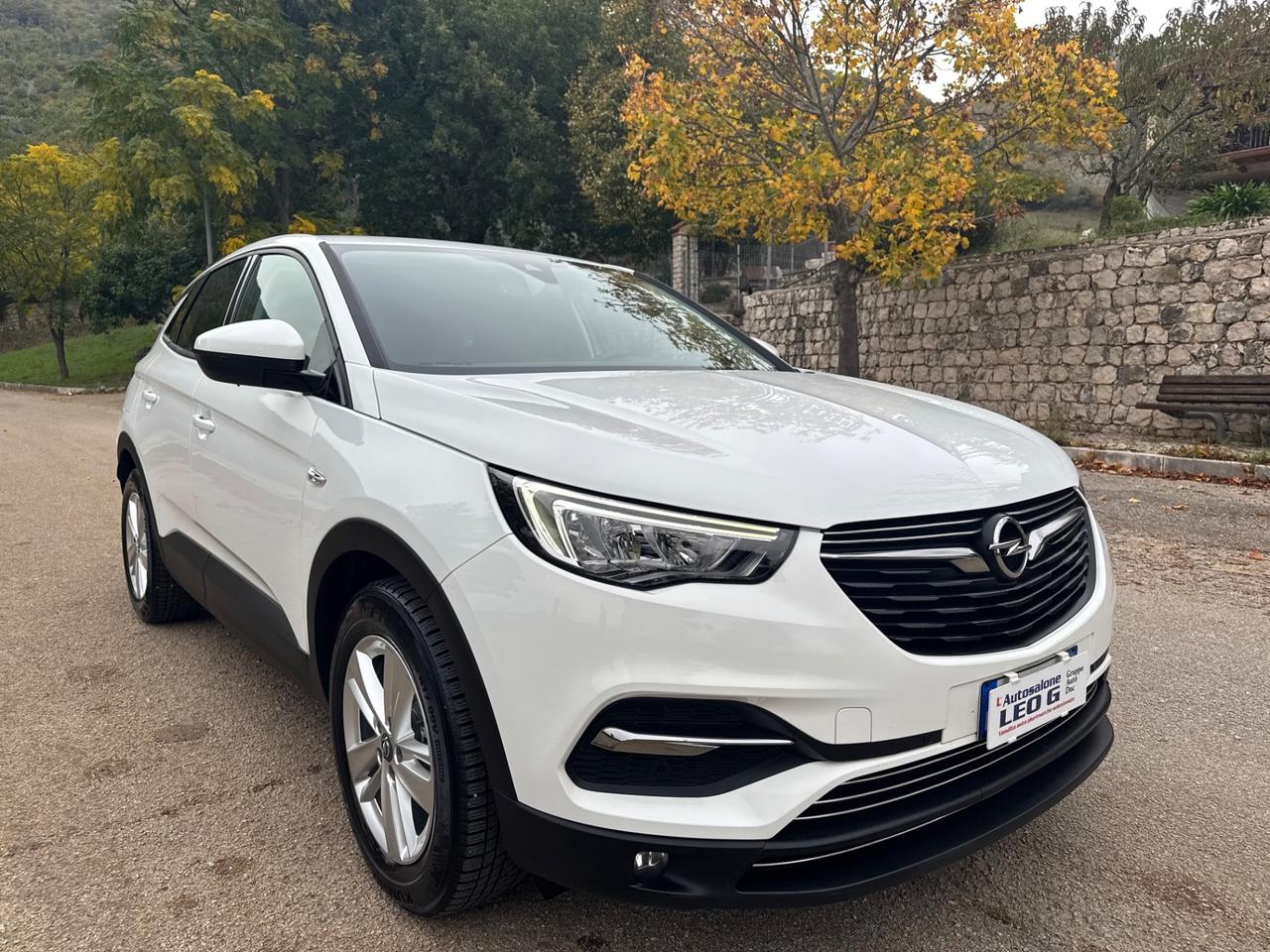 Opel Grandland X 1.5 diesel Ecotec Start&Stop Business