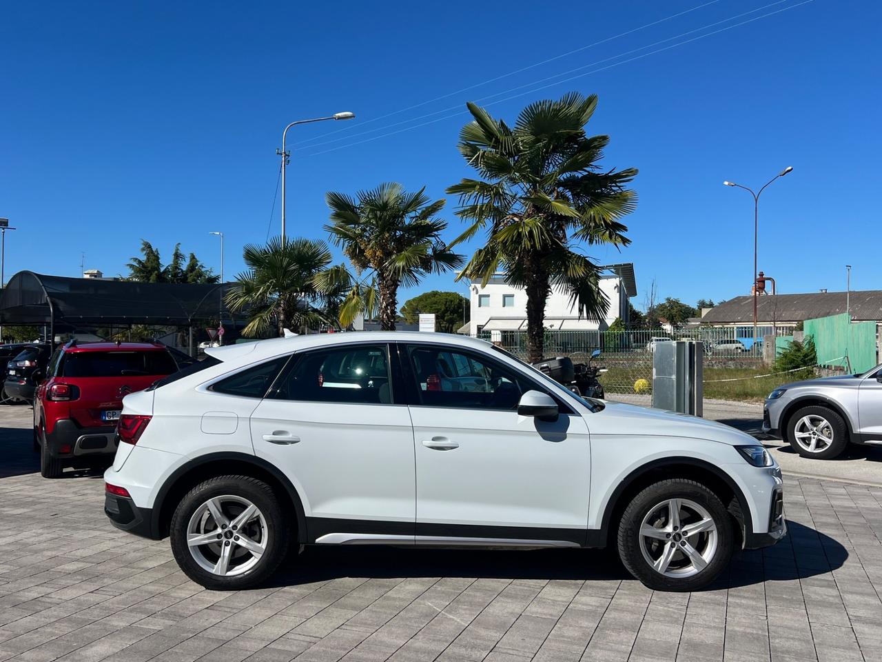 Audi Q5 SPB 35 TDI S tronic Business Advanced