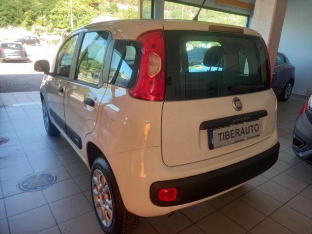 FIAT Panda KM 24337 !!!! M/CASA MADRE