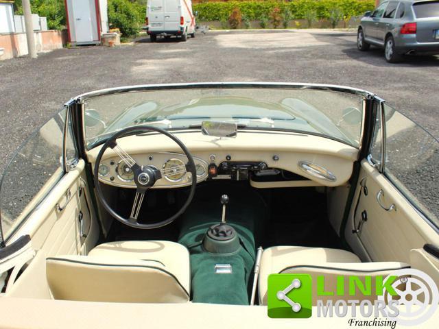 AUSTIN Healey MK II 3000 Cabrio BJ7 / Targata TO