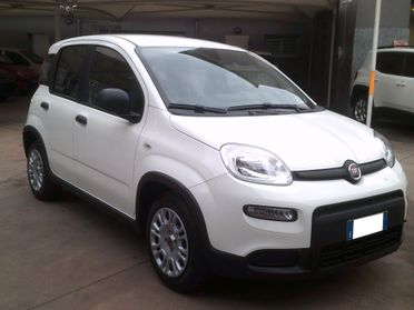 Fiat Panda 1.0 FireFly Hybrid *PREZZO PROMO*