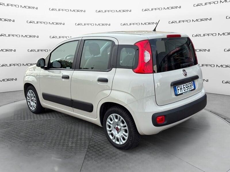 FIAT Panda Panda 1.2 Easy easypower Gpl 69cv