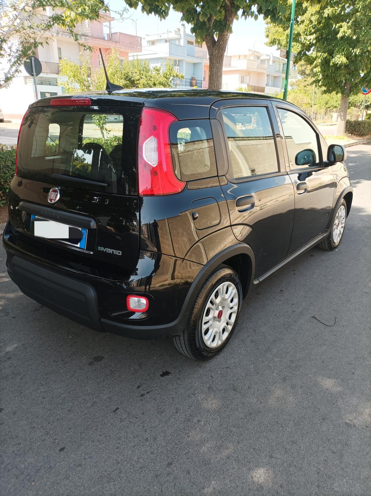 Fiat Panda 1.0 FireFly S&S Hybrid - 2023