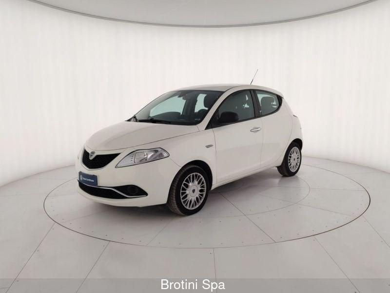 Lancia Ypsilon Ypsilon 1.2 69 CV 5 porte Elefantino