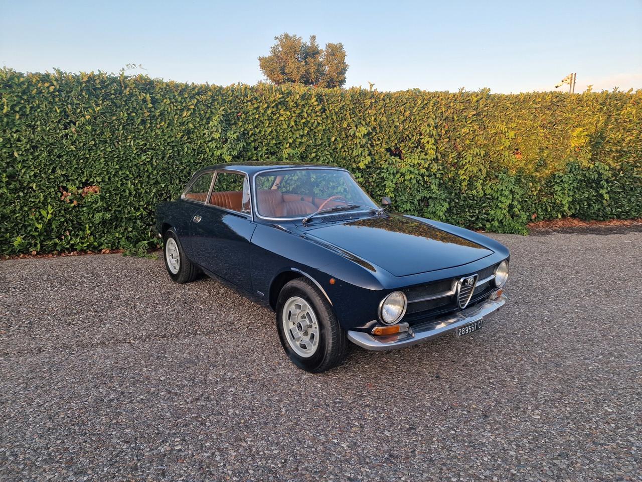 Alfa Romeo Gt Junior 1300