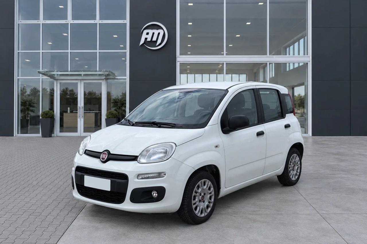 Fiat Panda 1.3Mjt Autocarro N1