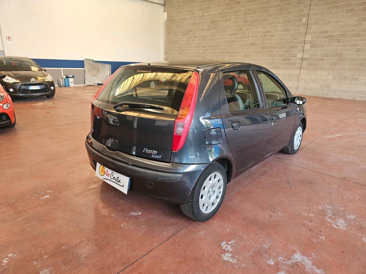 Fiat Punto 1.2i cat 5 porte Verve NEOPATENTATI