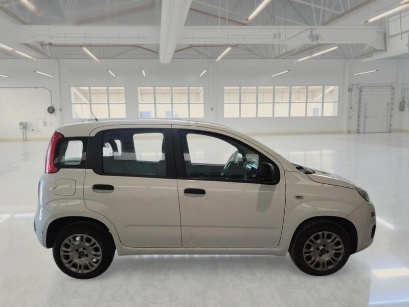 FIAT PANDA 1.2 69 CV SES E6D-TEMP EASY 5 PORTE BERLINA