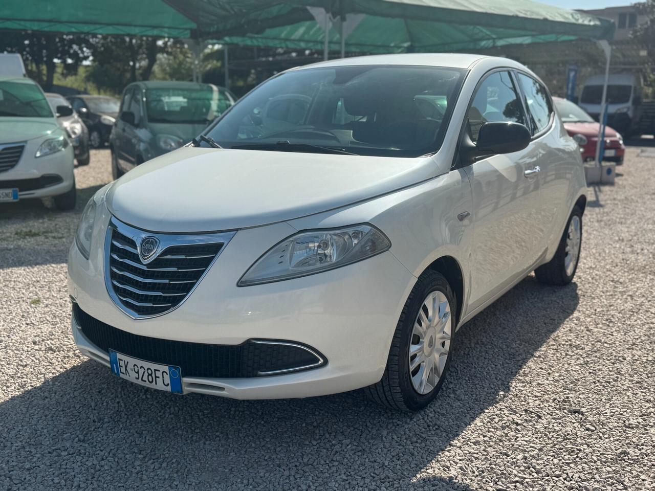 Lancia Ypsilon 1.3 MJT 16V 95 CV 5 porte 1prop. km certificati bianco perla 2011