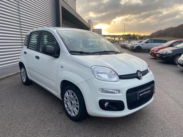 FIAT Panda 1.2 Benzina 4 cilindri OK NEOPATENTATI