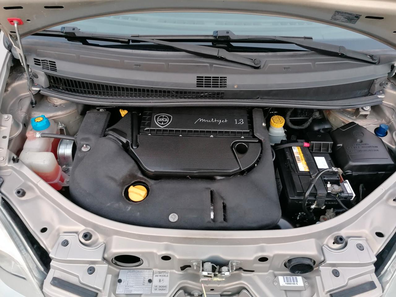 Lancia MUSA 1.3 Mjt 16V 95 CV S&S DPF Platino