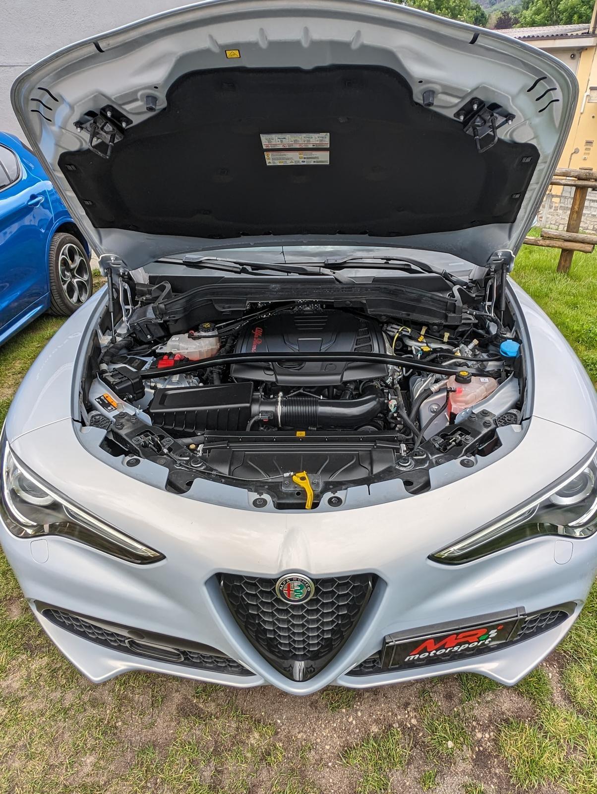 Alfa Romeo Stelvio 2.0 Turbo 280 CV AT8 Q4 Veloce