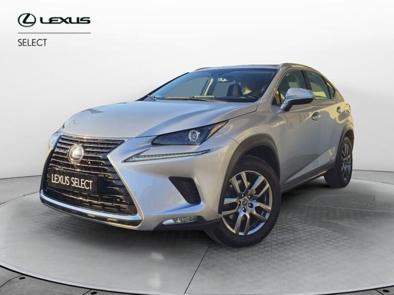 Lexus NX Hybrid 4WD Business