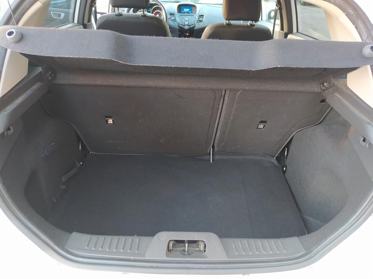 Ford Fiesta 1.4 5 porte Bz.- GPL Black & White Edition Neopatentati