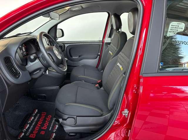 Fiat Panda 1.0 Firefly Hybrid S&S Pandina 5 POSTI