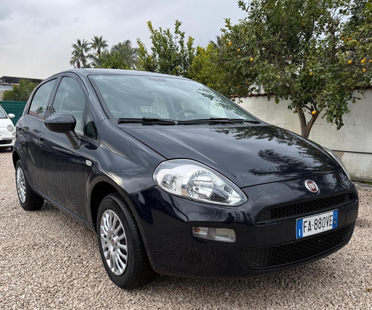 Fiat Punto 1.4 8V 5 porte Natural Power Street